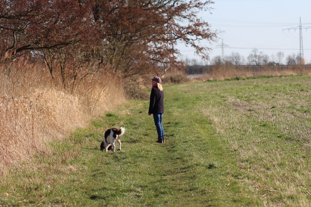 ADB0806's tweet photo. Lovely and relaxing stroll round the backyard today with @sam15081 and #CharlieChops. A beautiful Sunday spring afternoon. https://t.co/L7cyW4eDKc