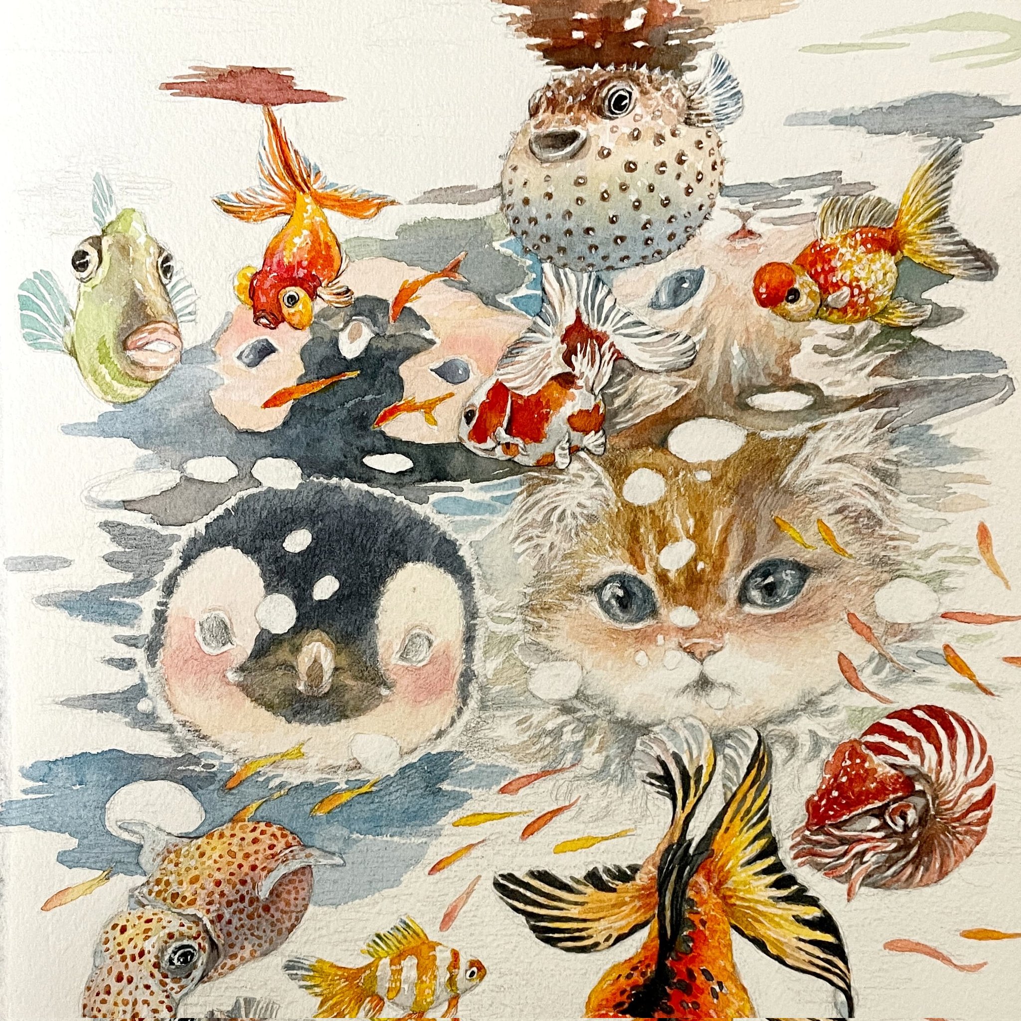 見つめ合う猫と金魚