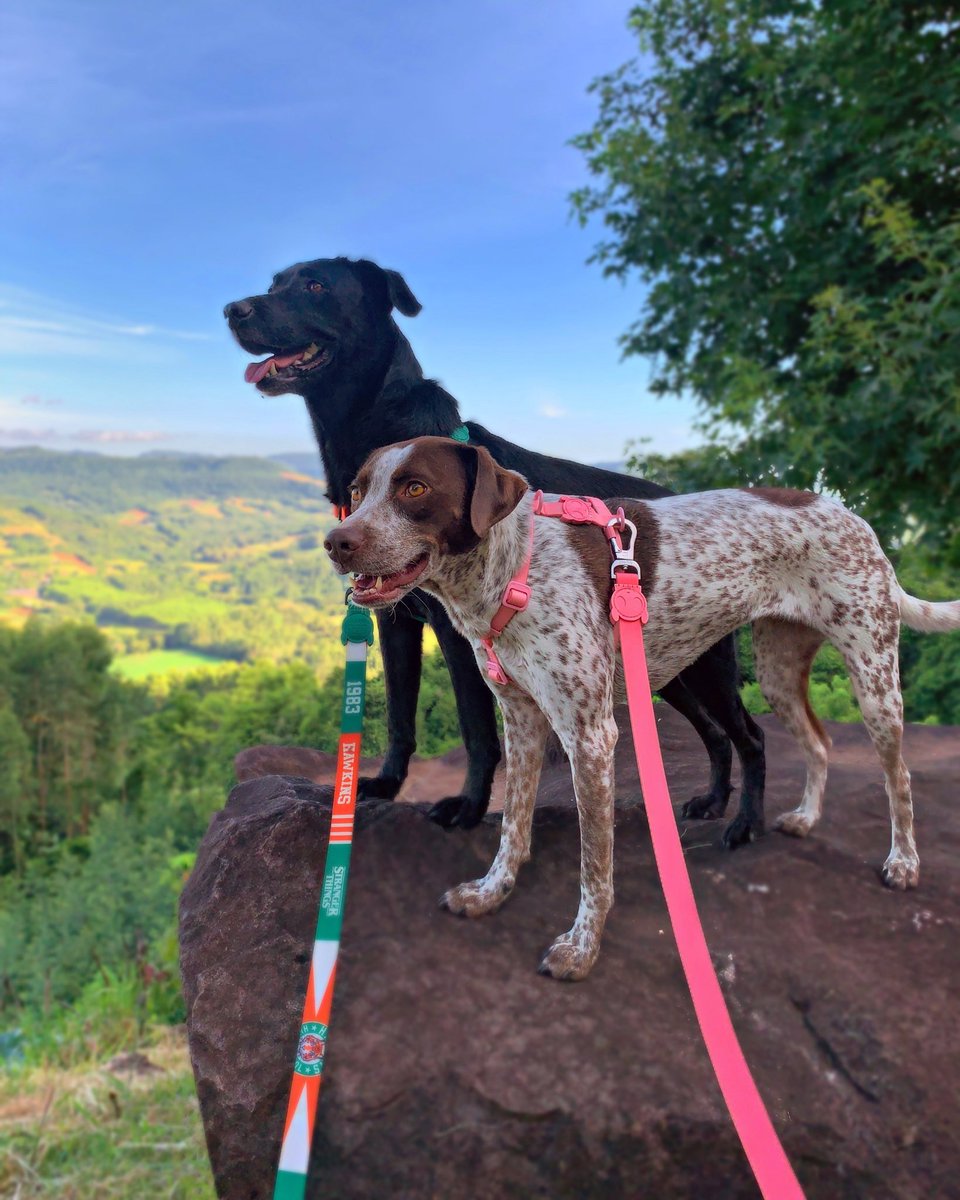 LUKE & ARYA tweet media