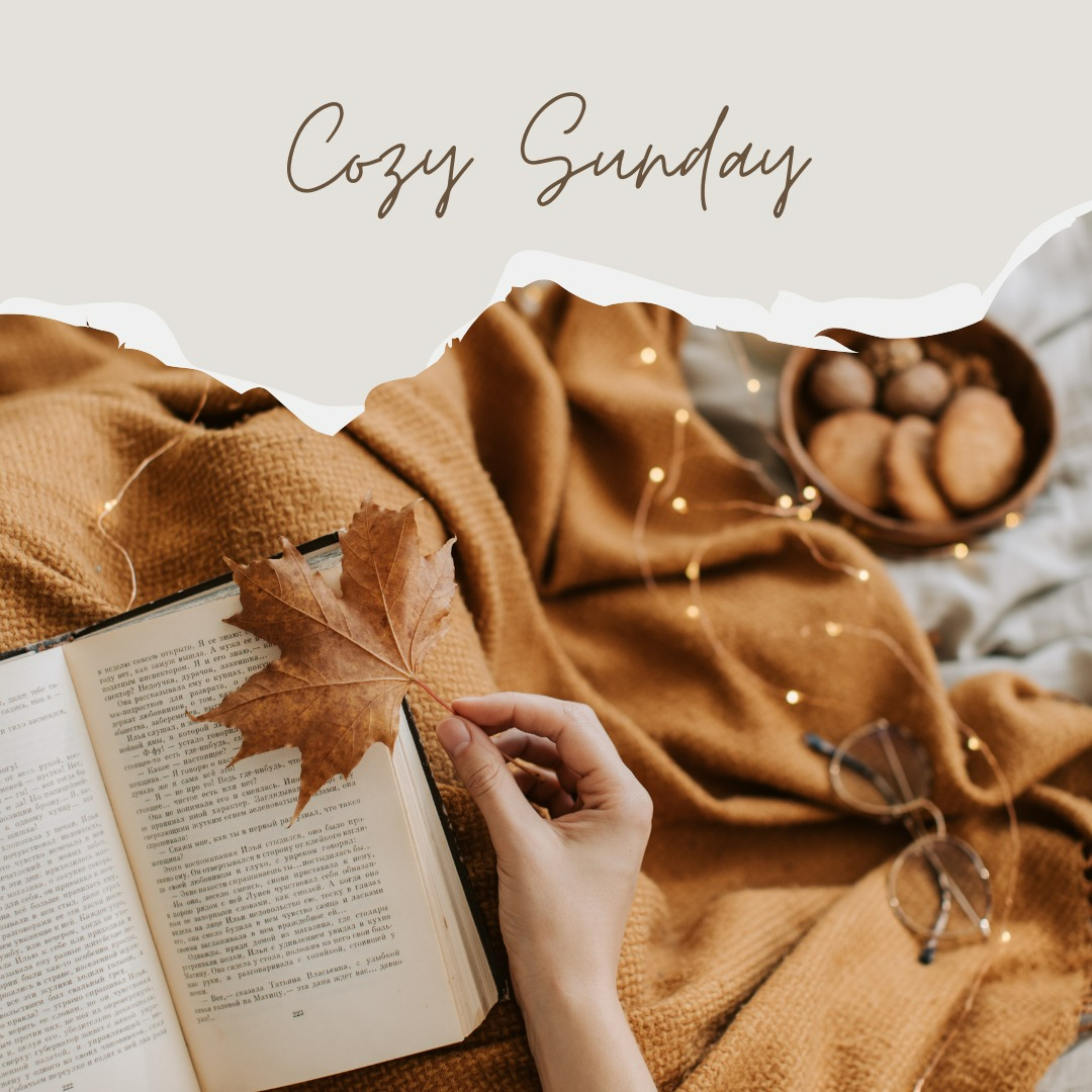 Planisphere Q tweet media