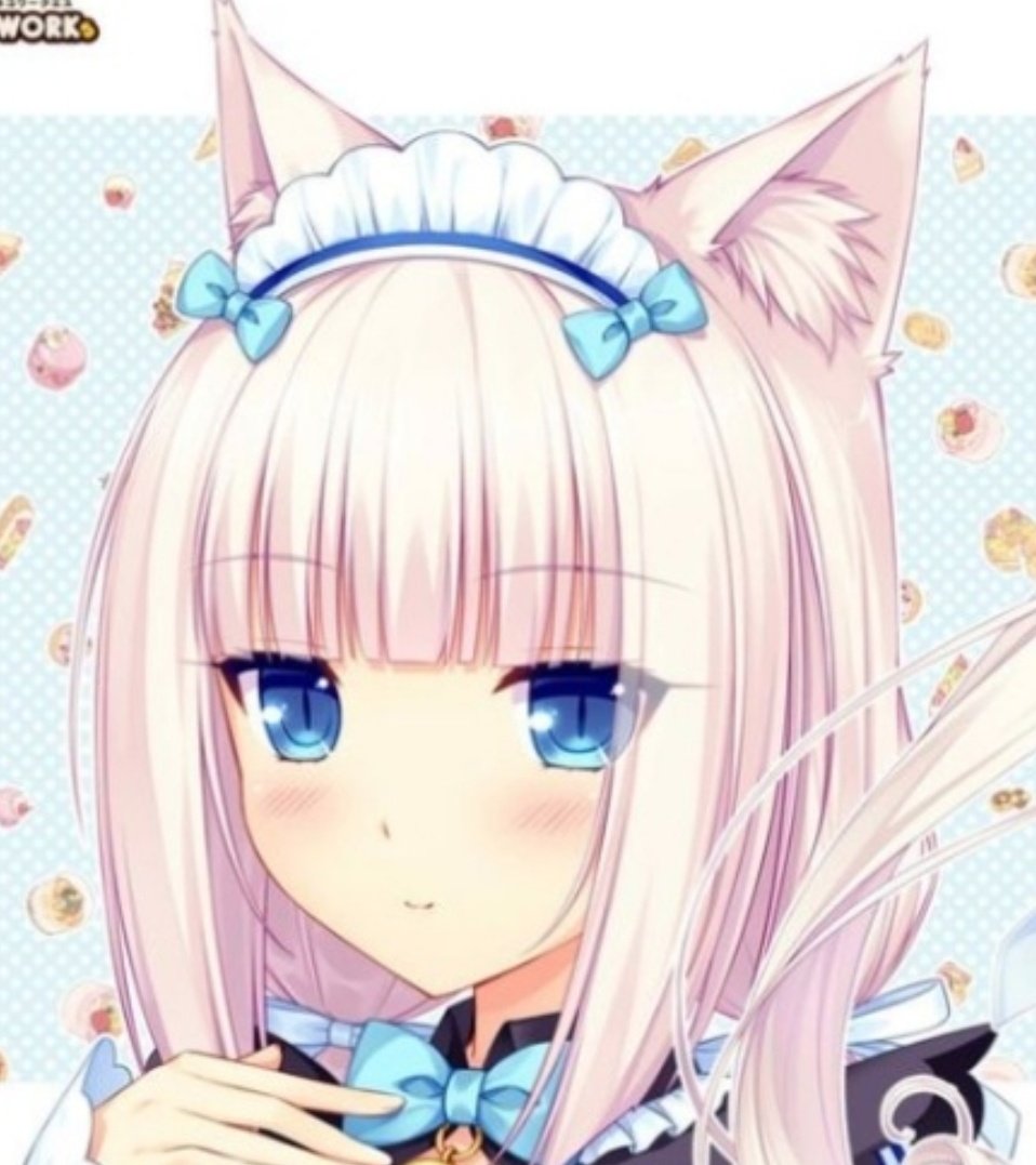 Ванилла некопара. Некопара ванилла. Ванилла некопара скрины. Nekopara ванилла. Ванилла некопара.