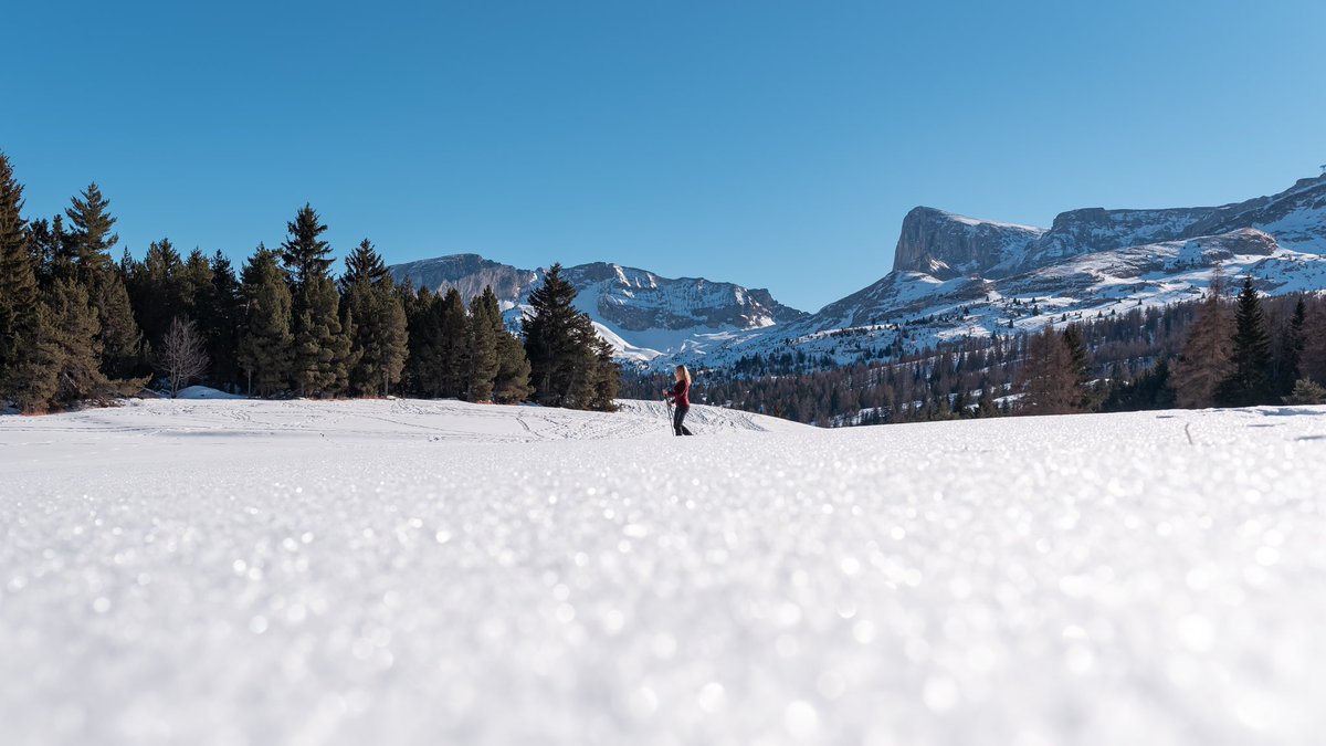 itinera_magica's tweet image. Selon la légende,les 4 + hauts sommets du #Dévoluy étaient autrefois des géants belliqueux, punis par le soleil levant. Leurs silhouettes tutélaires guident nos itinéraires au cœur des Hautes #Alpes.Pic de Bure, Grand Ferrand,Obiou,Faraud, lequel a vos faveurs? #MagnifiqueFrance