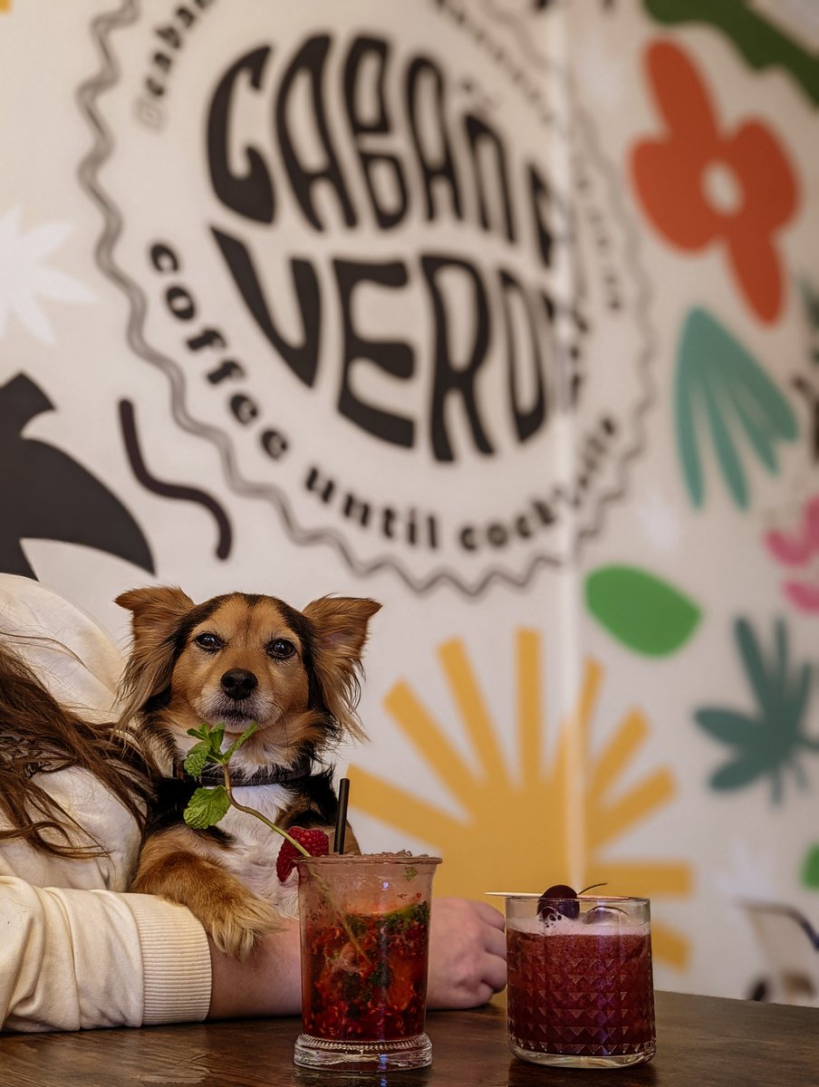 Dog Furiendly tweet media