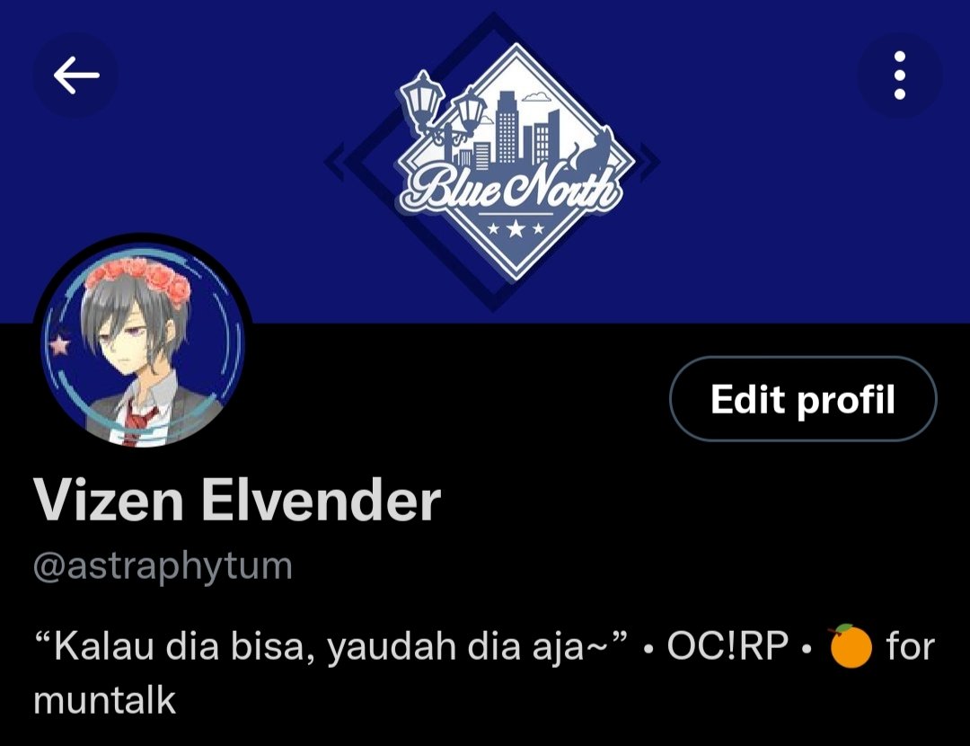 ⋆.ೃ࿔*:･─ Layout