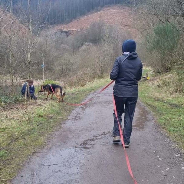 ondineb's tweet photo. Fantastic morning Mantrailing with Bear at Clydach Lakes
We had a blast
Thanks to all the teams and trainers 🐺🤗🐶🐕‍🦺🏴󠁧󠁢󠁷󠁬󠁳󠁿🤎
#mantrailing 
#dogtrainer 
#dogtraininglife 
#GermanShepherd 
#DogsofTwittter 
#twitterdogcommunity https://t.co/UaSLDrdwM3