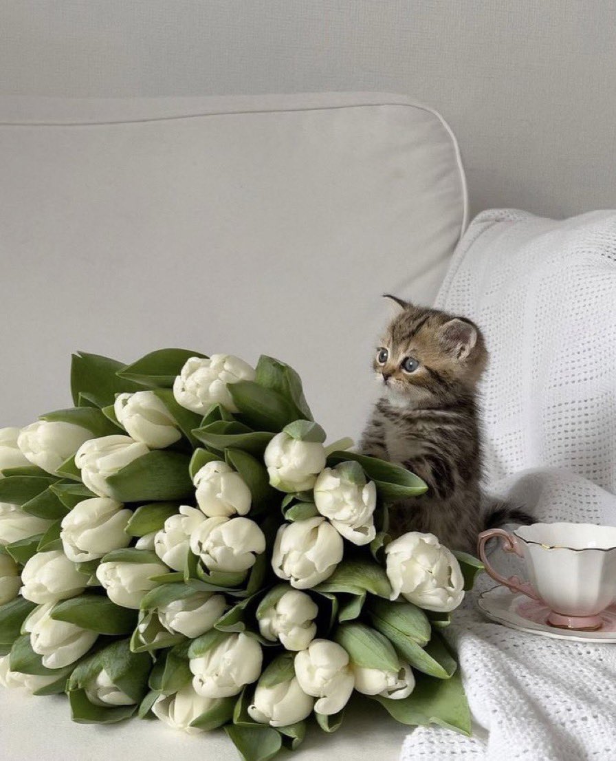 لطافة الأشخاص العابرين ، دائماً تخليني
أستشعر بأن الحياة ما زالت بخير ..🌹