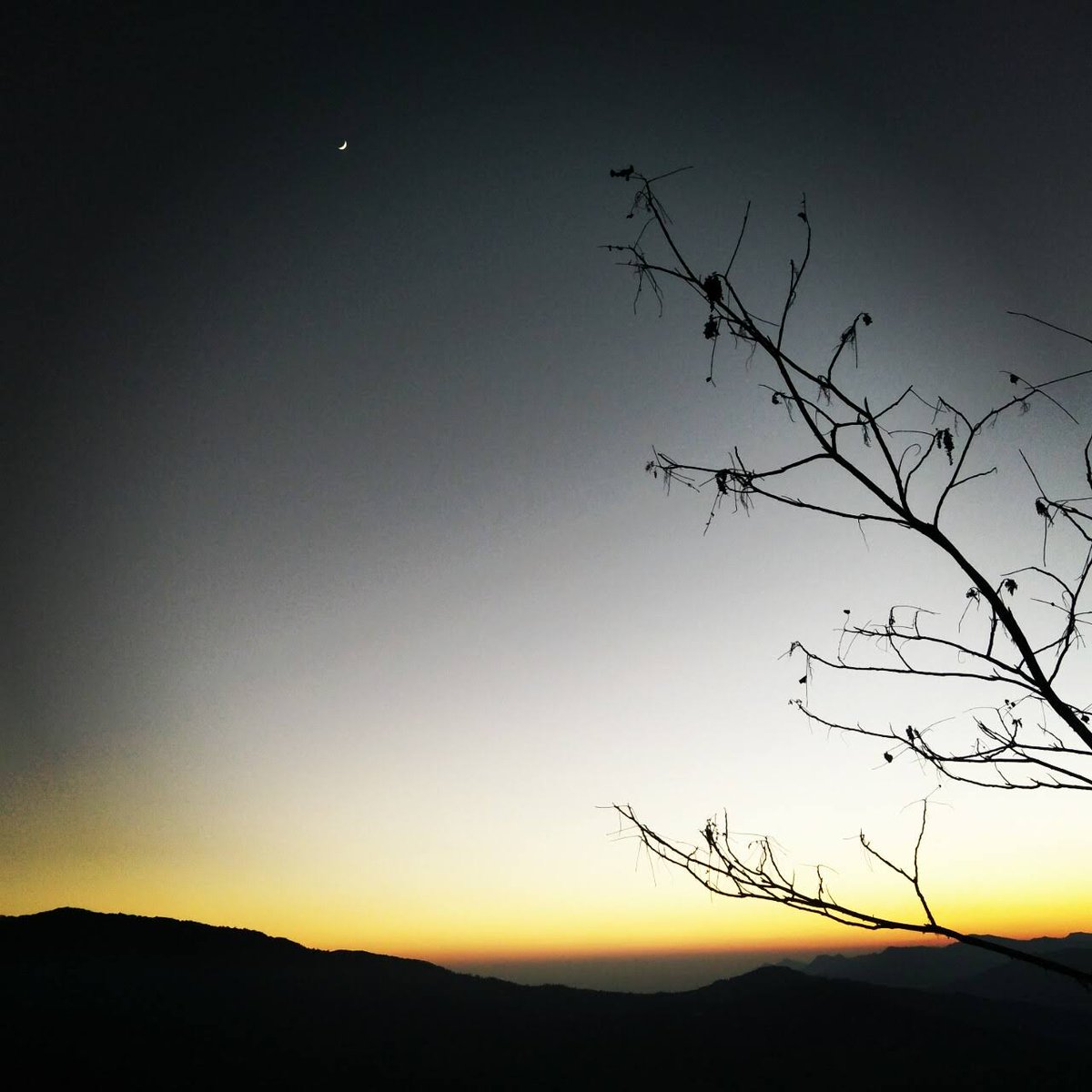 Drukpa184's tweet image. What's more thrilling was every second the sky would paint different color; An opacarophile would definitely cry out in peace finding solitude and strength all together. That's how I felt ;)
.
#sunset #opacarophile #findingsolace #findingyourself