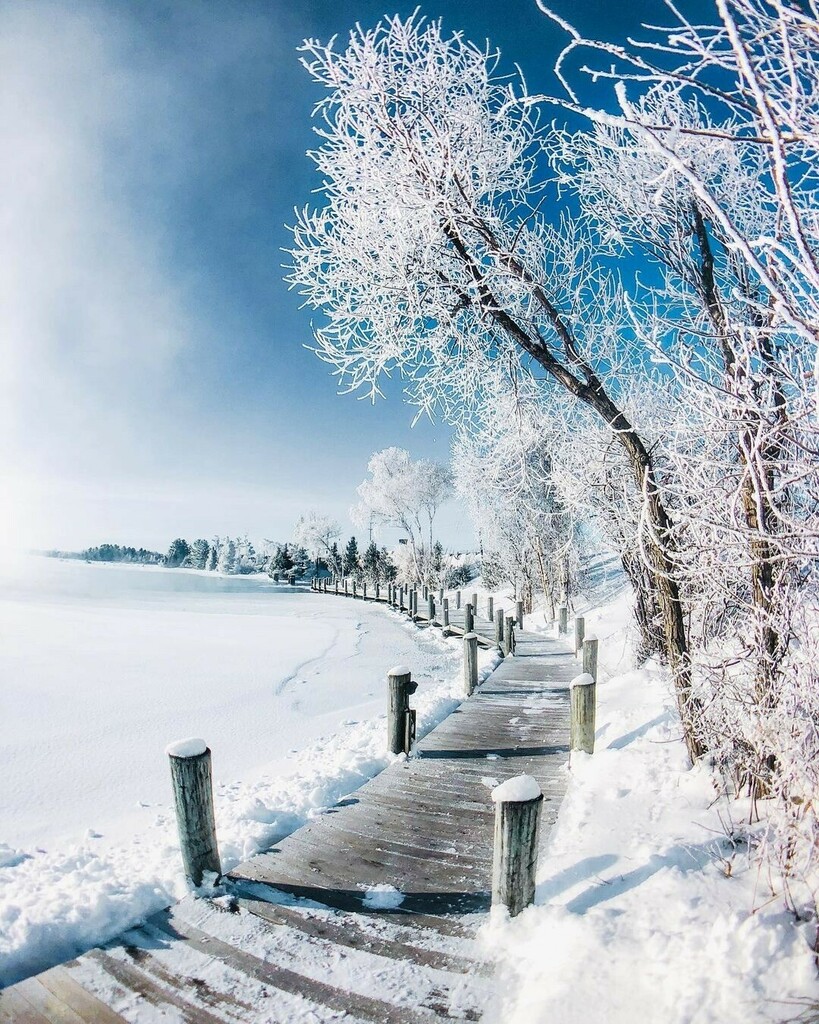 awesomemitten's tweet photo. Happiness is....feeling the warm sunlight hitting you on a cold winter's day.
📷 @nckstagram
.
.
.
.
.
#mittenlove #awesomemitten #puremiwinter #winterwonderland #miwinter #winterinmichigan #miawesomelist #winterbucketlist https://t.co/M5pbnR2Bf1 https://t.co/OjmEFxDjXy