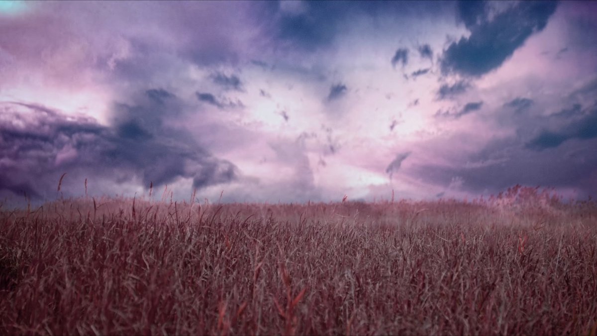 Lee know. Levanter stray. Левантер stray kids. Stray kids levanter album. Обои kpop stray kids.