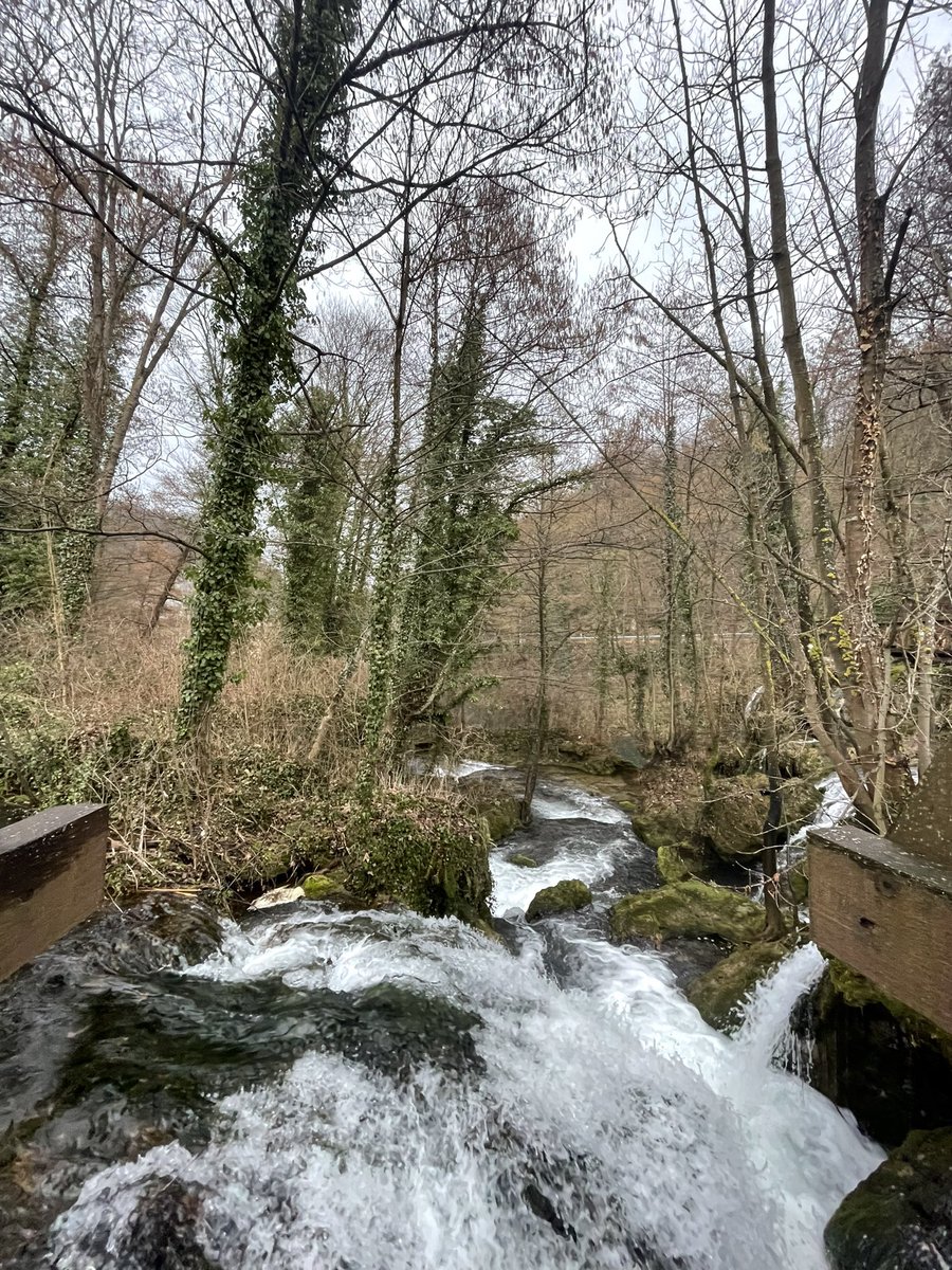 JoseyMintel's tweet photo. Being in Jajce always feels like a dream. I came to BiH because I heard about young activists from this small town who fought a broken & corrupt system together. Hearing from them during this tumultuous time for the region gives me hope #visitBiH https://t.co/1tmyXO0SBk