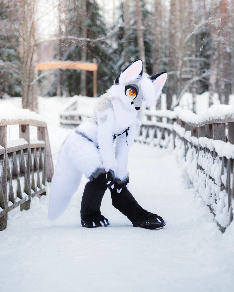 Vixmane_'s tweet image. Welcome to my page! I'm the owner &amp;amp; maker of Vixmane fursuits. I love to create and explore 🌘 #fursuiter #fursuitmaker 
📷: @MidoriFox