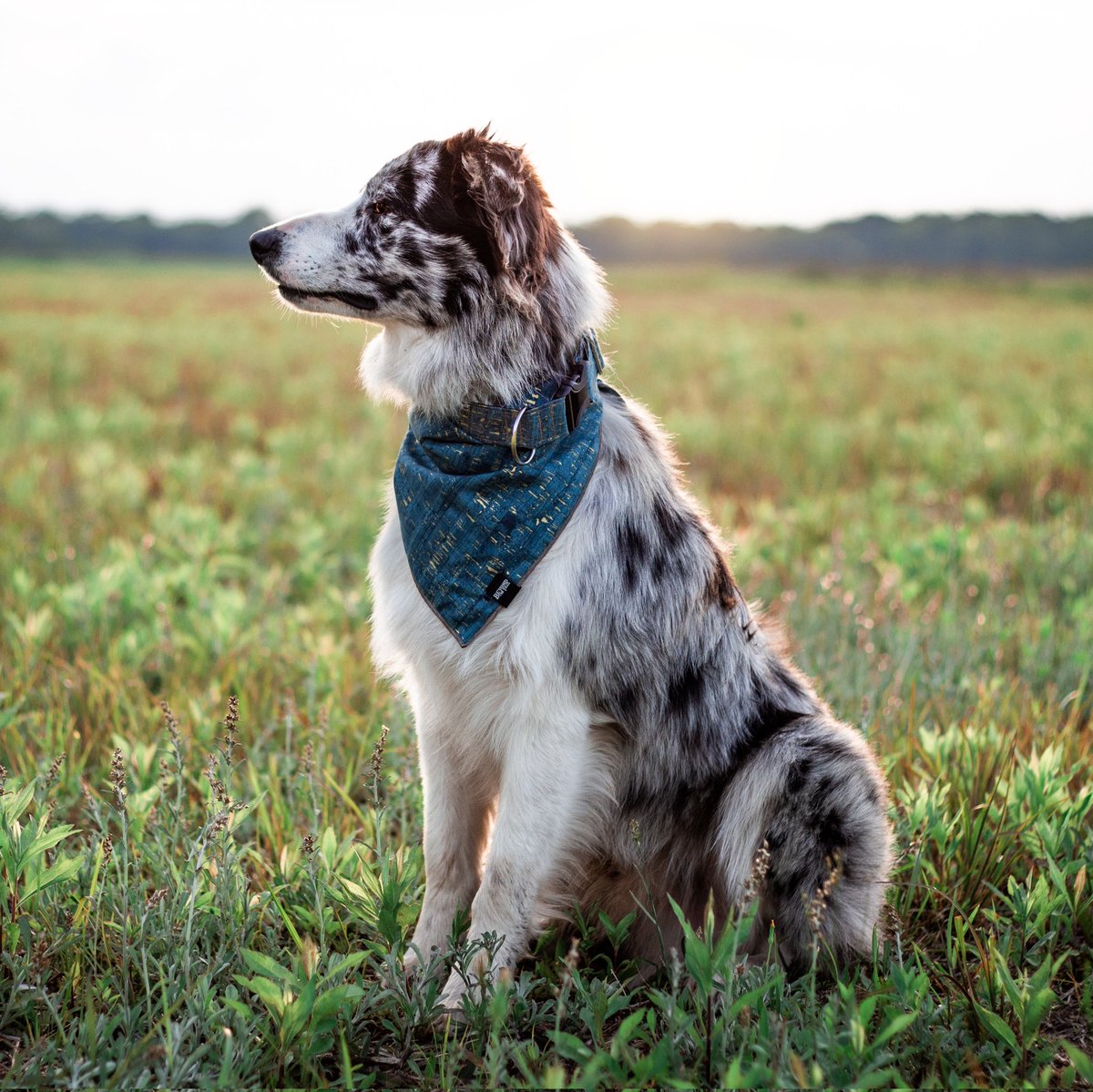 Borders In The Bayou tweet media