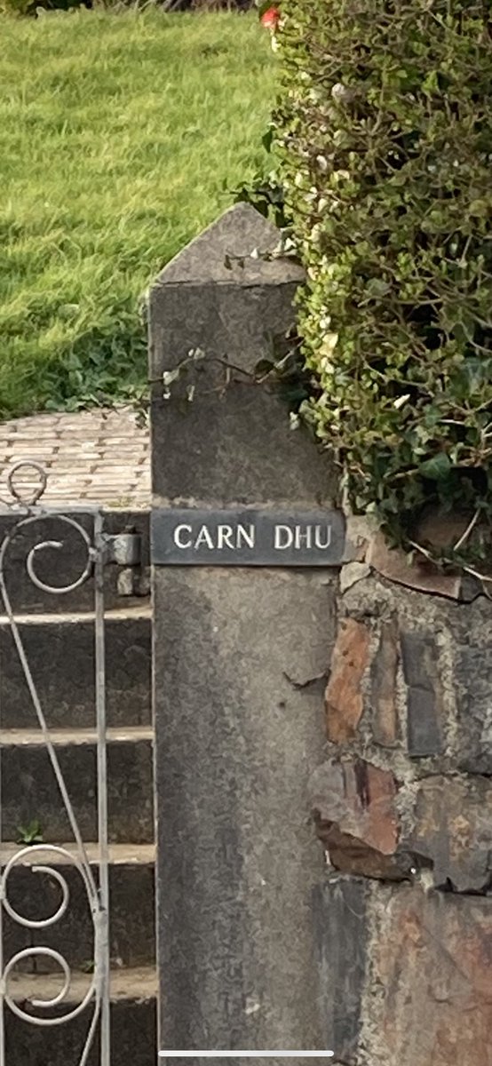 Nadine Coyle’s favourite kind of attitude…