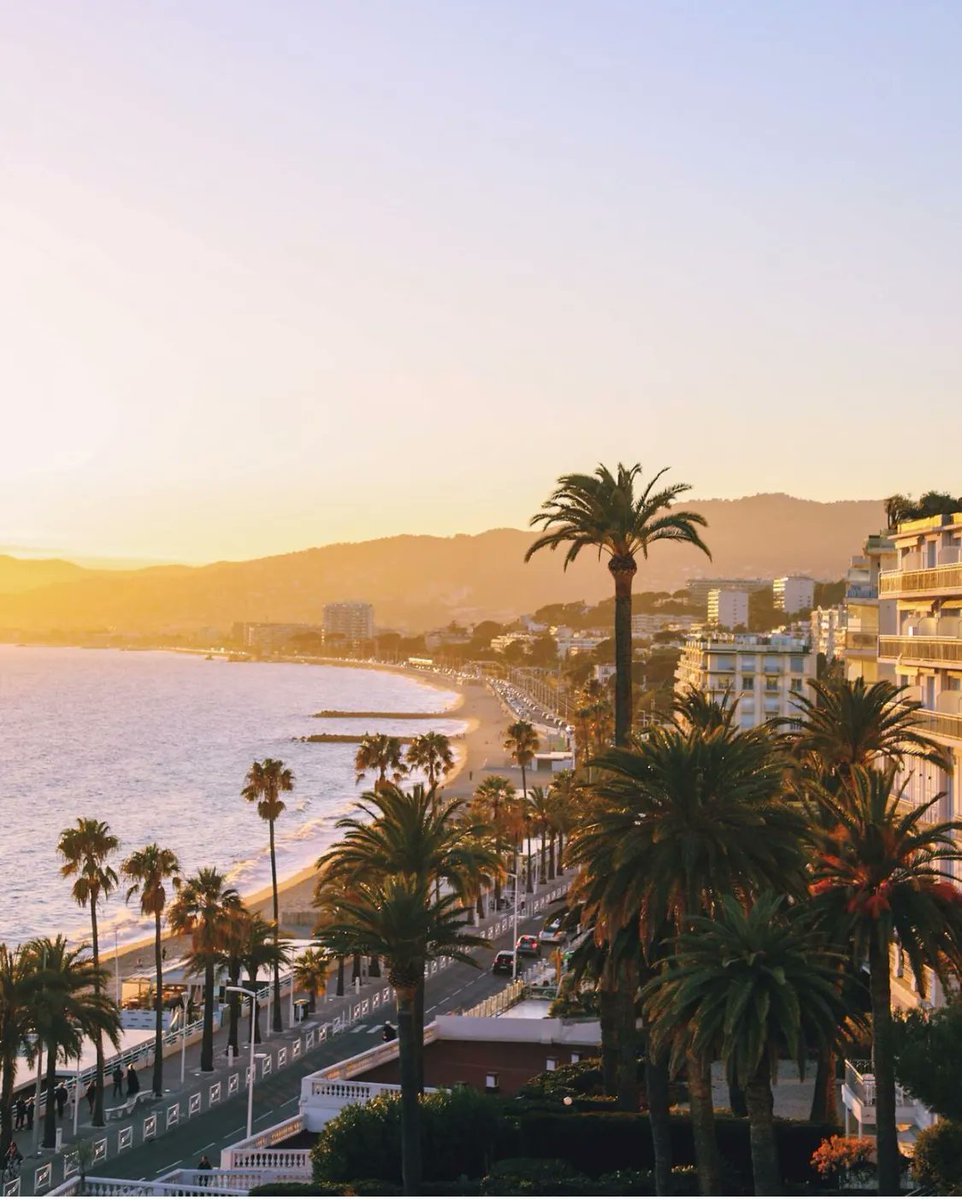 🌴 + 🌊 + 🌅 = ❤️ #Cannes
#CannesFrance #CotedAzurFrance 
📷 Albparis_
