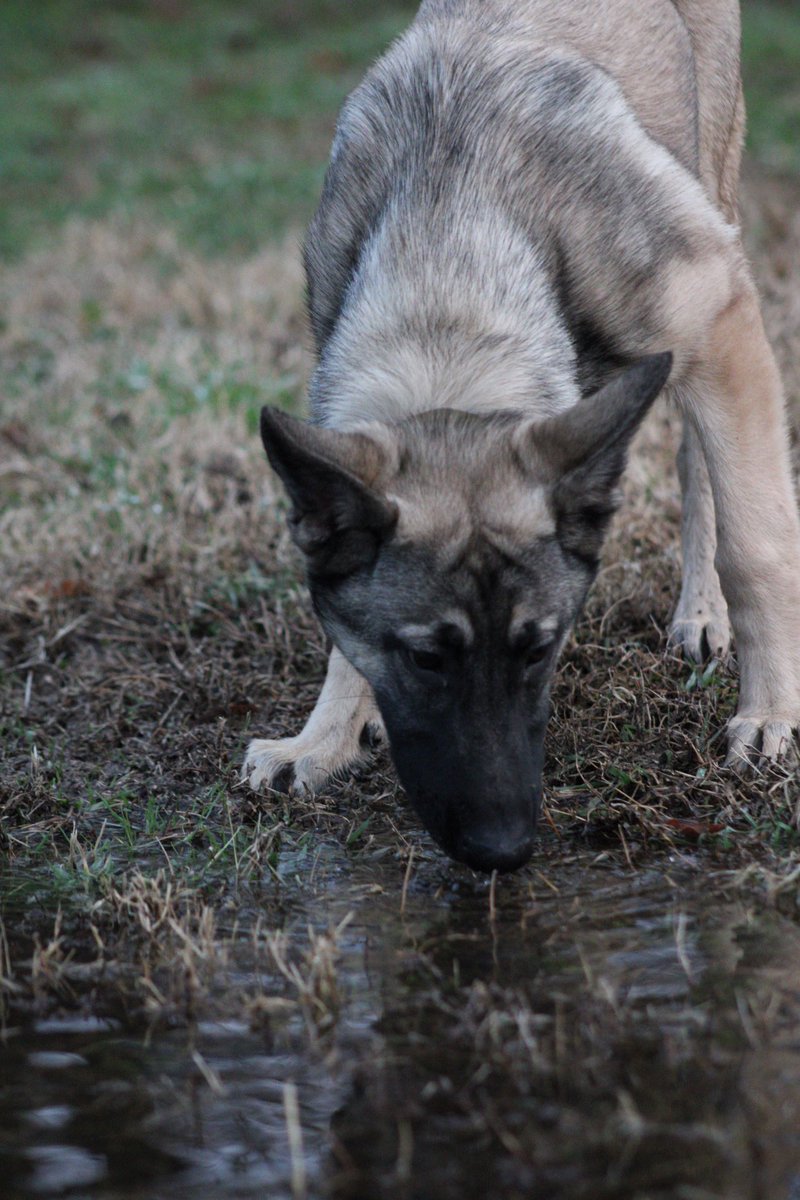 She looks like a Klingon from Startrek 😂