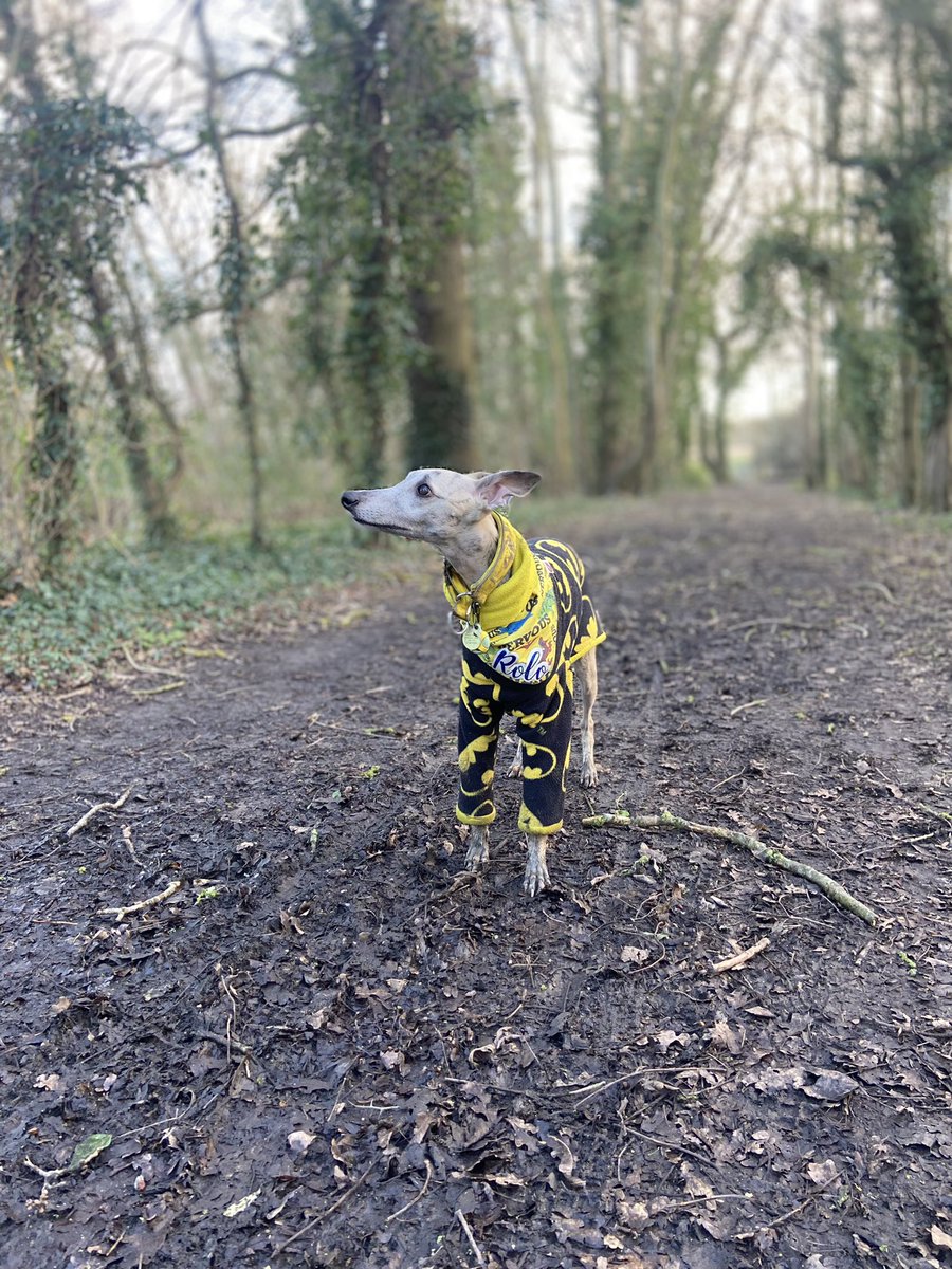 Chocolate_factory_siblings tweet media