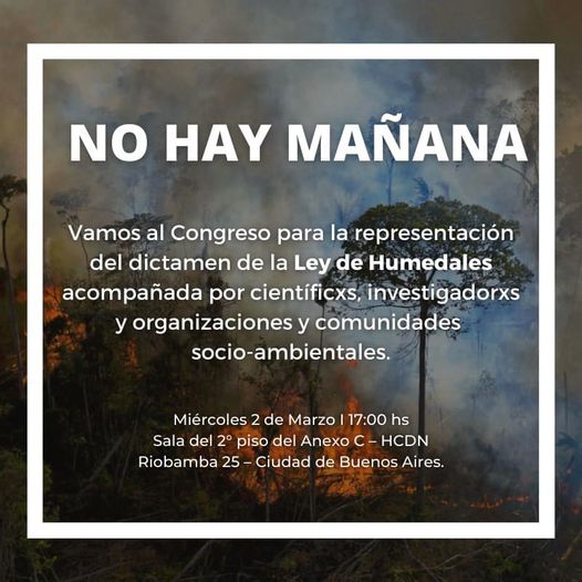 No hay mañana
Necesitamos sancionar la Ley de protección de humedales
No cualquier ley, sino el proyecto que ya tiene dictamen en la comisión de ambiente en Cámara Diputados y fue consensuado con organizaciones sociales, científicos, investigadores y diferentes fuerzas políticas