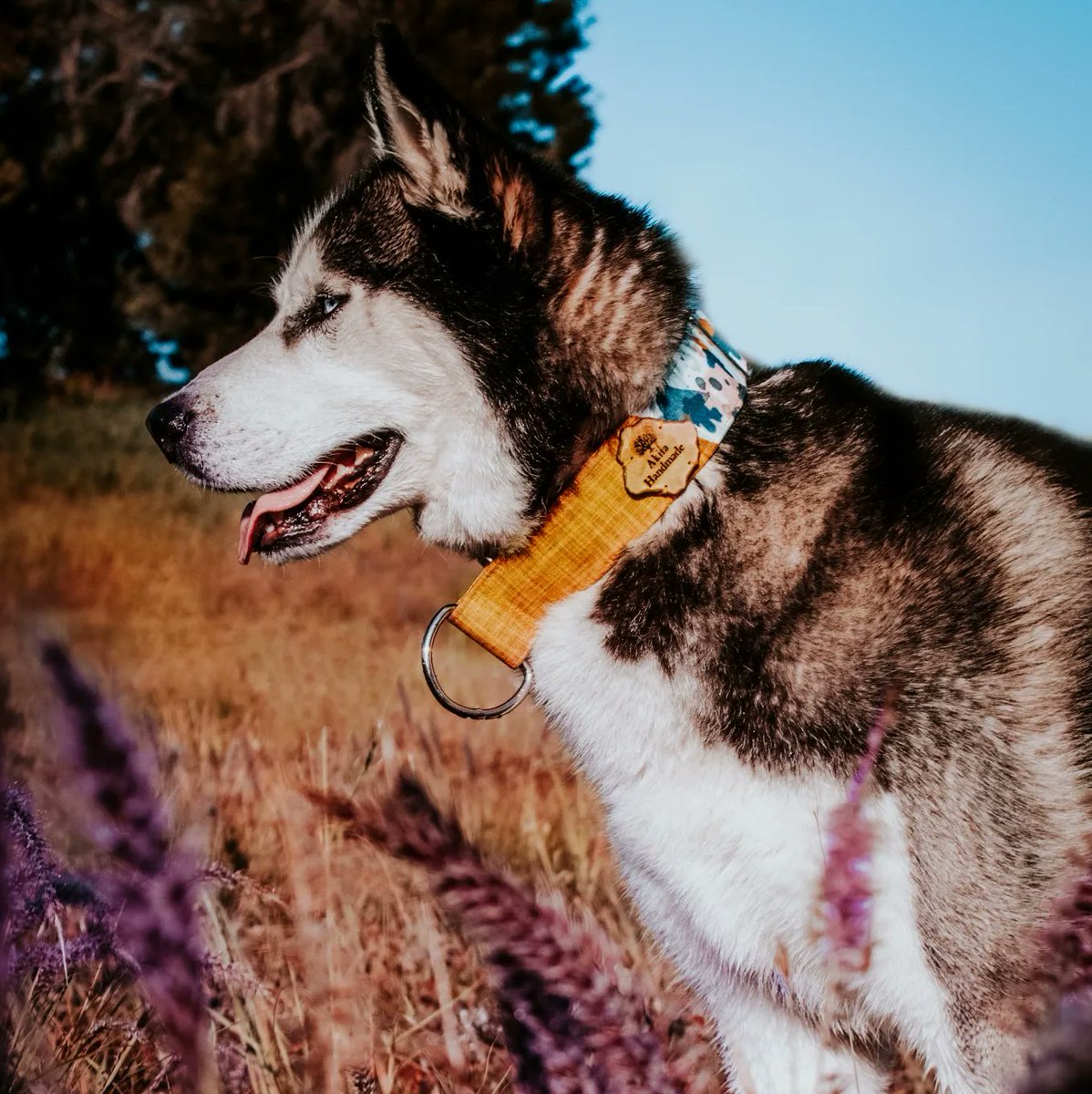 Akita Handmade tweet media