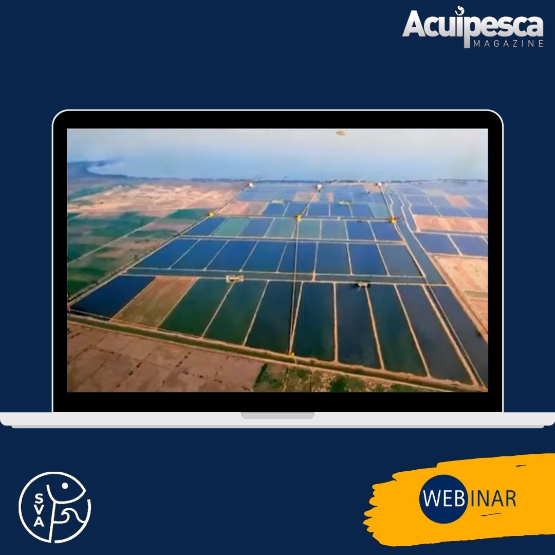 Sociedad Venezolana de Acuicultura, SVA, inició el pasado 20 de enero su  nuevo ciclo de seminarios web con el tema: “Pautas para los estudios ambientales y certificaciones ASC de granjas camaroneras”, liderado por Ausberto Quero, Ing. Agrónomo y consultor ambiental venezolano.