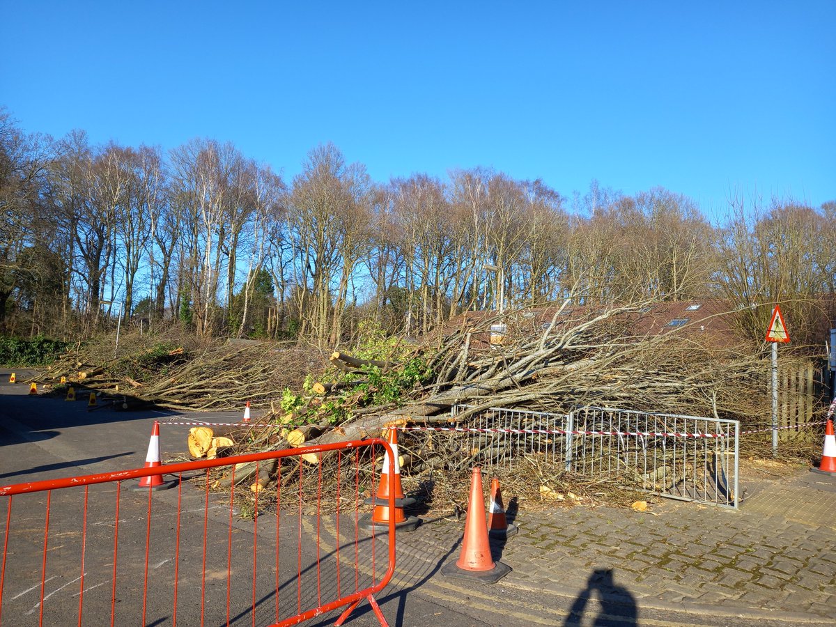More needless destruction of mature trees today on Headington Hill to make way for accommodation blocks for Oxford Brookes' students. Hard to believe this is happening in a conservation area and in a climate & nature crisis.