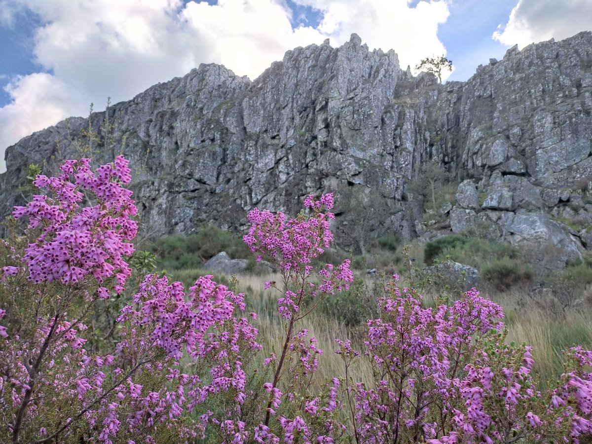 Turnat Turismo Rural tweet media