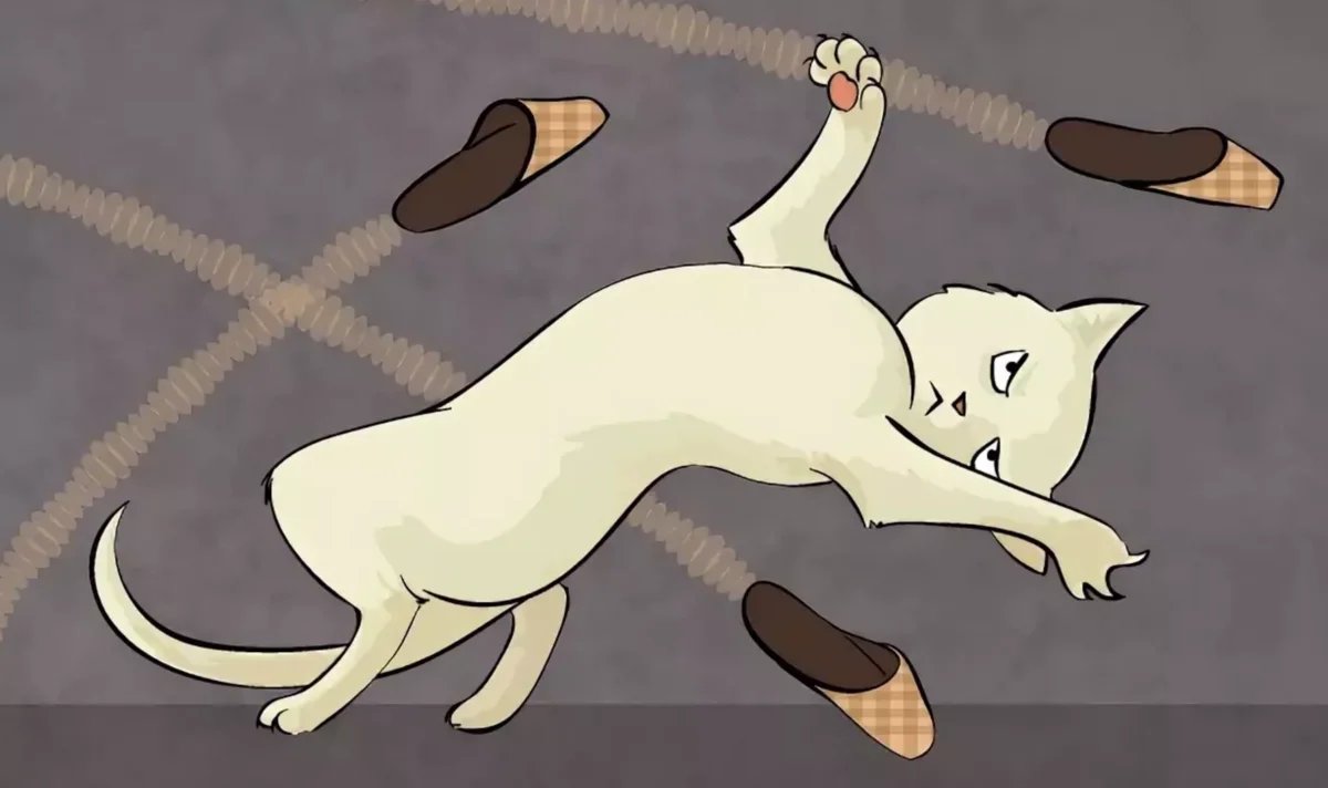 Кота бьют тапком. Бить тапками. Бить тапками. Кот кидает. Летящий тапок.