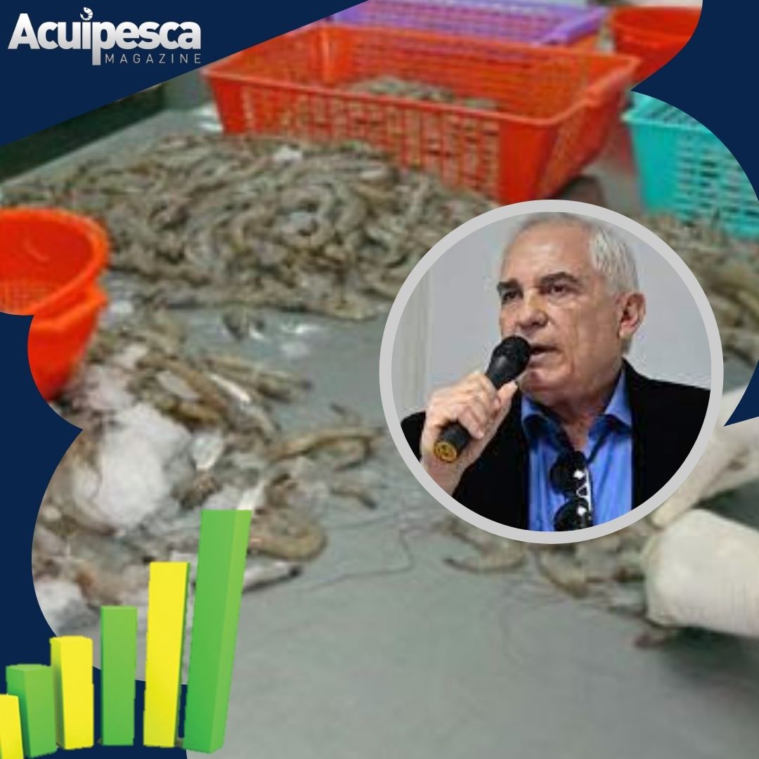 Presidente de Asoproco, Fernando Villamizar, informó que para el presente año la industria camaronera dejará de producir 35 mil toneladas, para incrementar la producción a unas 100 mil toneladas de camarones de forma trimestral en 2023.
