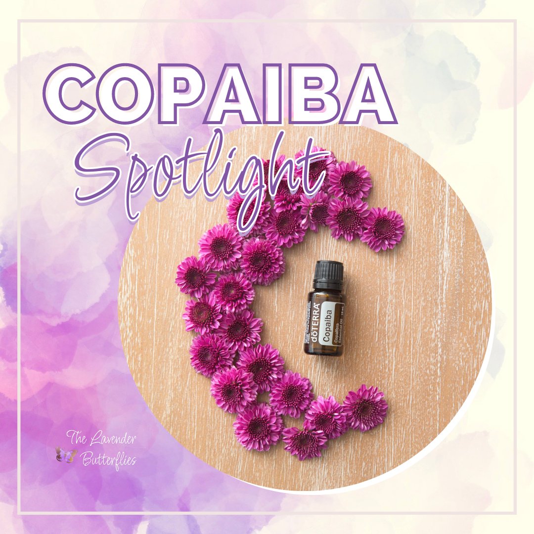 eoilswithbetz's tweet photo. My friend C has found that Copaiba oil is helping with easing her body discomfort. This was after only a few uses! C tells me that she applied Copaiba topically to her areas of discomfort.
https://t.co/8gDlQvHIfT
#copiaba #essentialoil #essentialoils #eo #doterraoils #oils https://t.co/1uHp7fF8aU