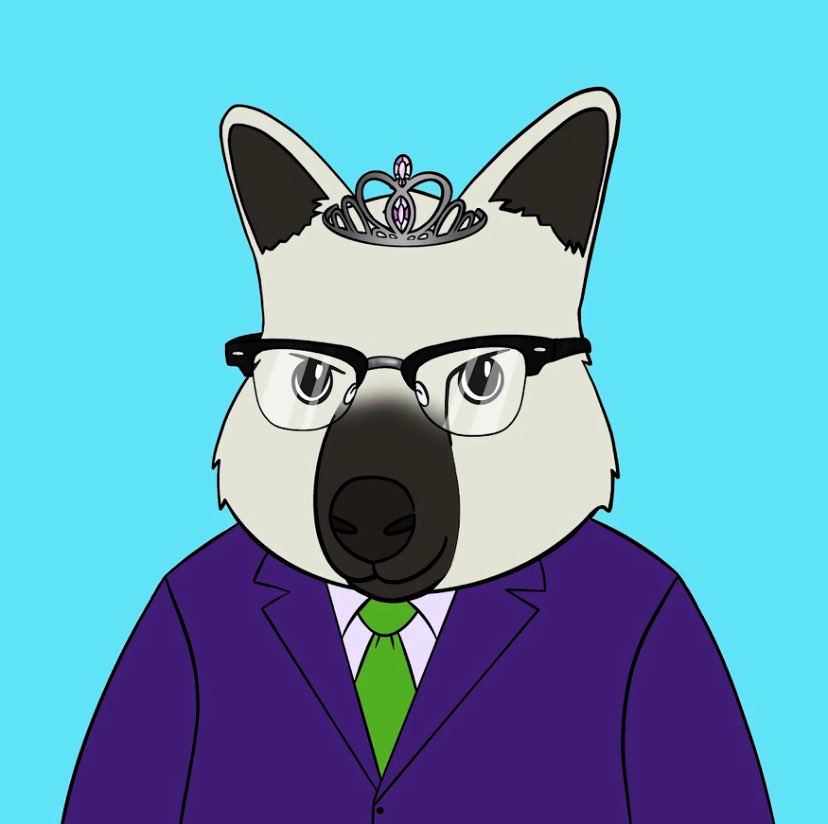 RooRoyalty's tweet photo. They laugh at me because I’m different. I laugh at them because they’re all the same - Queen Joker Roo🃏

An expert in developing poisonous &amp; lethal concoctions including razor-tipped playing cards, &amp; deadly joy buzzers.. other factions beware… 😏 

@4EyedRoos @RooTroopNFT 🦘 https://t.co/qplvNgTH9M