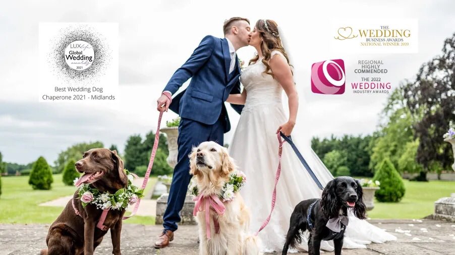 preciouspetswed's tweet photo. @TheoPaphitis Hello again Theo 🐉
💛 We make couples wedding dreams a reality so their dog can be a part of their special wedding day.
💍 As part of our Wedding Dog Chaperone Service, we plan, co-ordinate and take all the stresses away so dogs can be a #ringbearer #photos #SBS #DogsAreFamily https://t.co/S4mVajtjtL