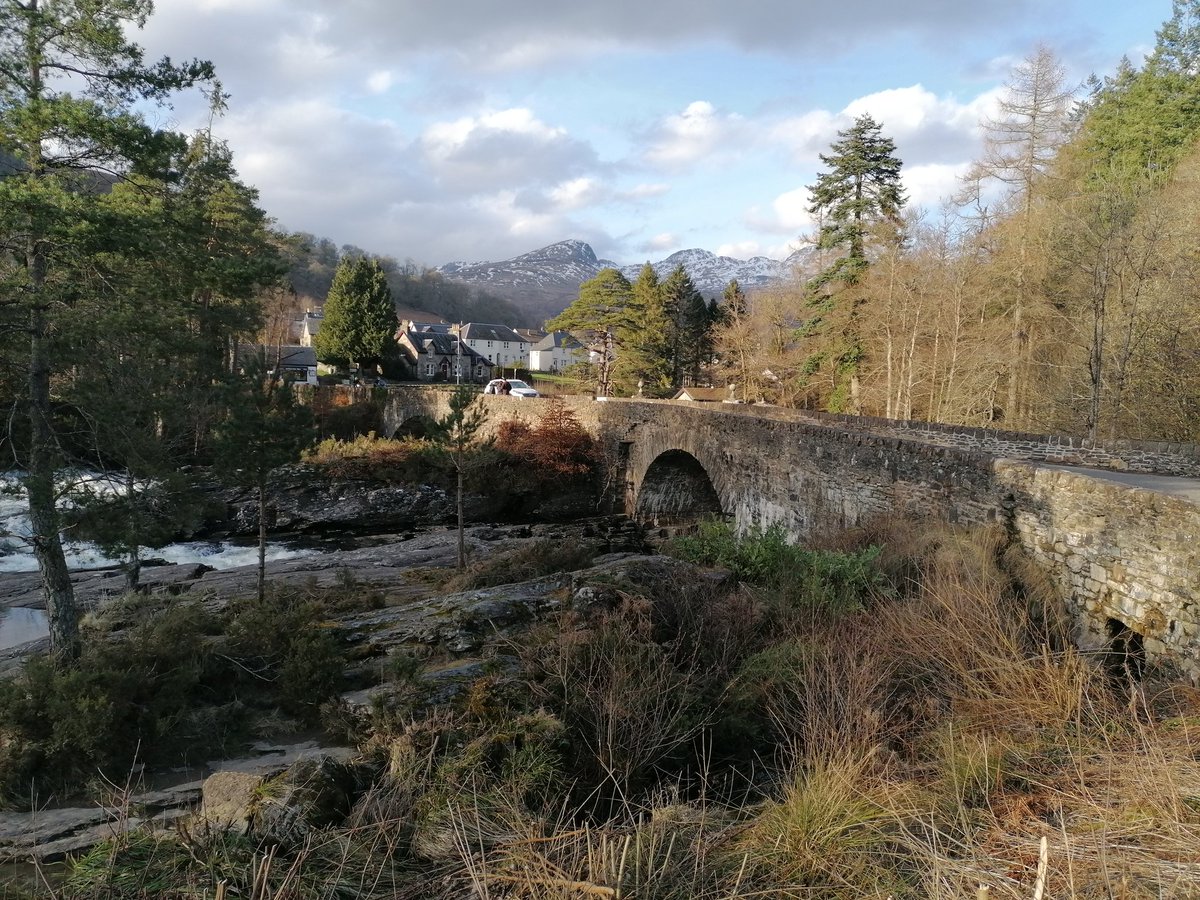 Brian Hannigan tweet media