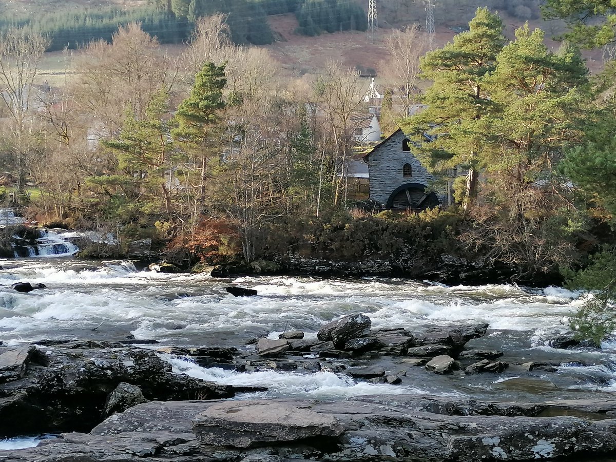 Brian Hannigan tweet media