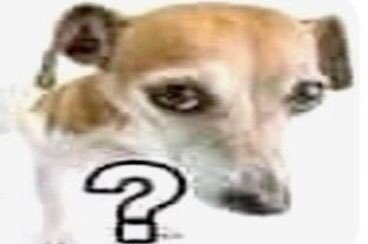 lil (@littersunoo) on Twitter photo q decía q decía