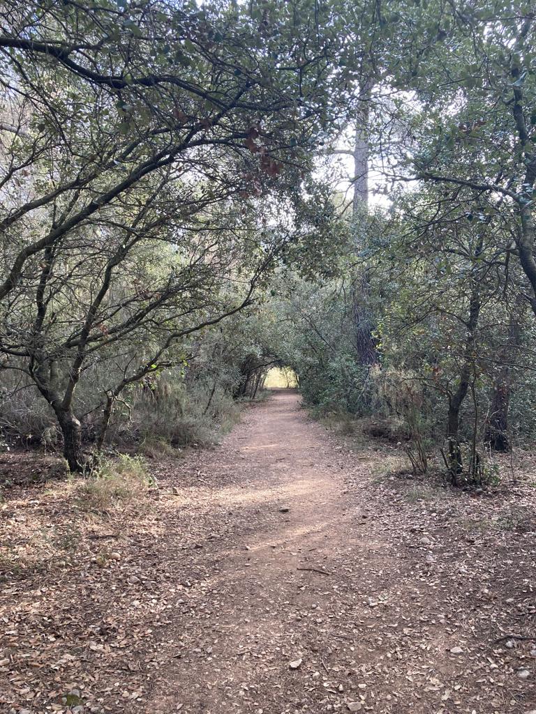 Avui ha estat un gran dia per a posar a punt els recorreguts de La Portals. Així de guapos us estem deixant els camins y senders!

👉 laportals.cat
📆 10 d'abril 2022
🚵 INSCRIPCIONS OBERTES