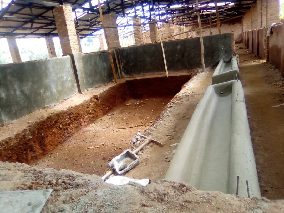 NgangoFarmside's tweet photo. From 👇🏽 to the first video, the process is simple, lucrative and based on natural pig farming with the intro of Indigenous Micro-Organisms (IMOs), collected and used at the farm throughout. If we did… you can too! https://t.co/Xf1T5QNYAQ