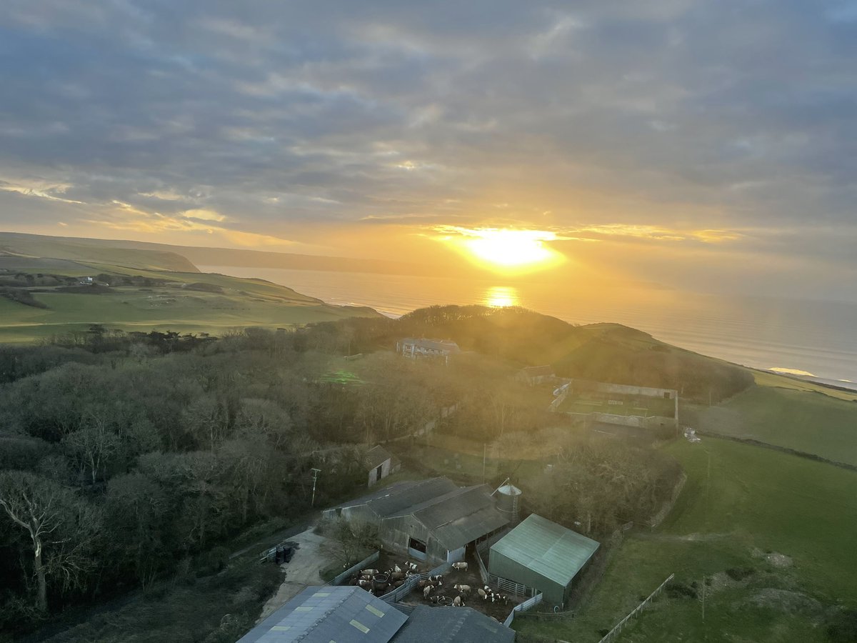 NPAS South West Region (@npassouthwest) on Twitter photo Busy shift for the crew of #NPAS47 from St Athan assisting <a href="/DyfedPowys/">Heddlu Dyfed-Powys Police</a>, <a href="/swpolice/">South Wales Police</a> and <a href="/DC_Police/">Devon & Cornwall Police</a> today!
Thank you to <a href="/lomashelis/">Lomas Helicopters, Lake Heliport</a> for the β½οΈ.
^JS Busy shift for the crew of #NPAS47 from St Athan assisting <a href="/DyfedPowys/">Heddlu Dyfed-Powys Police</a>, <a href="/swpolice/">South Wales Police</a> and <a href="/DC_Police/">Devon & Cornwall Police</a> today!
Thank you to <a href="/lomashelis/">Lomas Helicopters, Lake Heliport</a> for the β½οΈ.
^JS
