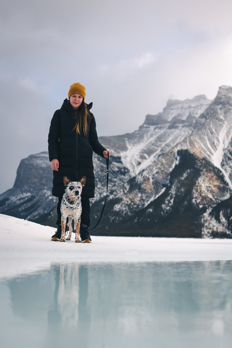 Simon's Lead tweet media