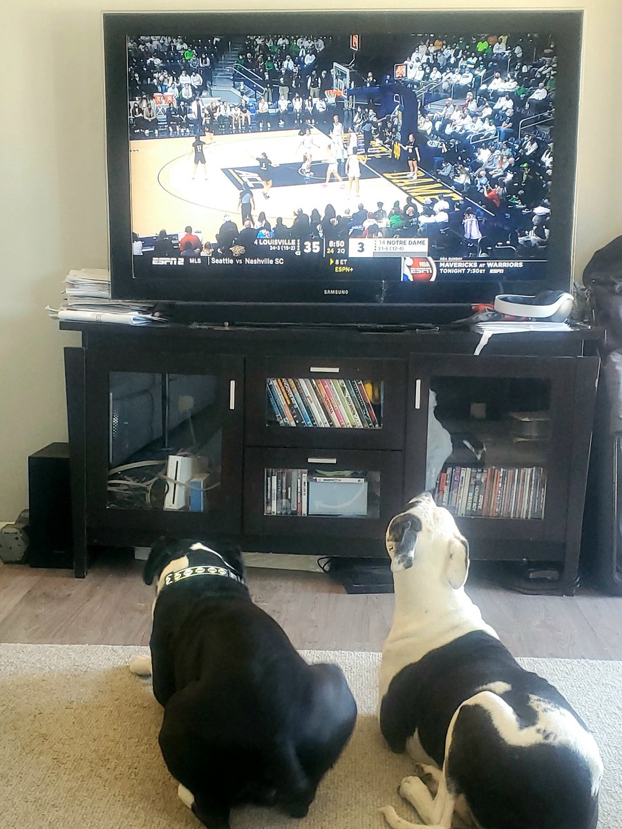 Me &amp; my DAWGS watching this U of L vs ND game....or showcase by L-Ville! ND needs to get it cracking! Can't spot L-Ville 40 at half!!