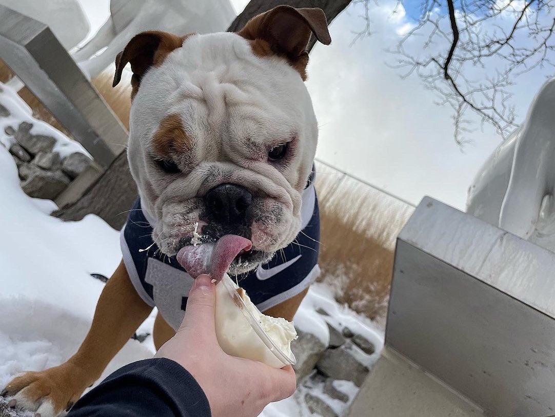koppscustard's tweet photo. Thanks for stopping by, @thebutlerblue! π Weβll look forward to your visit during the next #BigDawgsTour! π₯°πΆ
#KOPPS #KoppsFrozenCustard #BigDawgsTour #ButlerBlueIV #KoppsCustard #TreatYourself
π·: @thebutlerblue https://t.co/LEb4Vrlpdr
