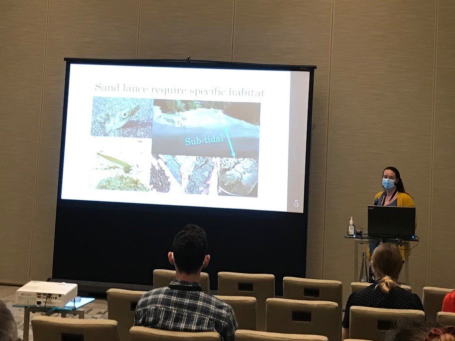 TaraGMartin's tweet photo. The Conservation Decisions Team represents at #CCFFR2022 on Inclusive cumulative effects assessment @mtncypress, optimal barrier remediation for salmon passage @rileyyfinn and predicting spawning habitat for pacific sand lance Jacqueline Huard. #ConservationDecisions https://t.co/jlLCds00hv