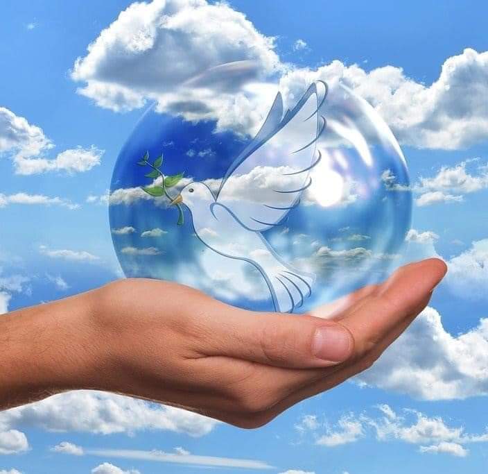 💜•⋆🦋⋆✮Kris✮⋆🦋⋆•💜 (@kristal38922455) on Twitter photo 