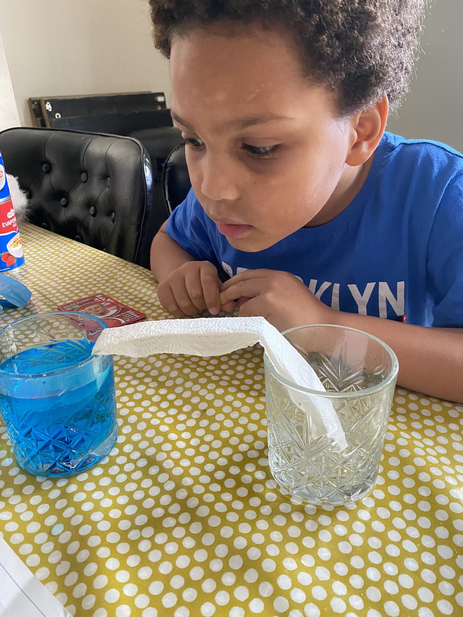 Mel ifeoma tweet media