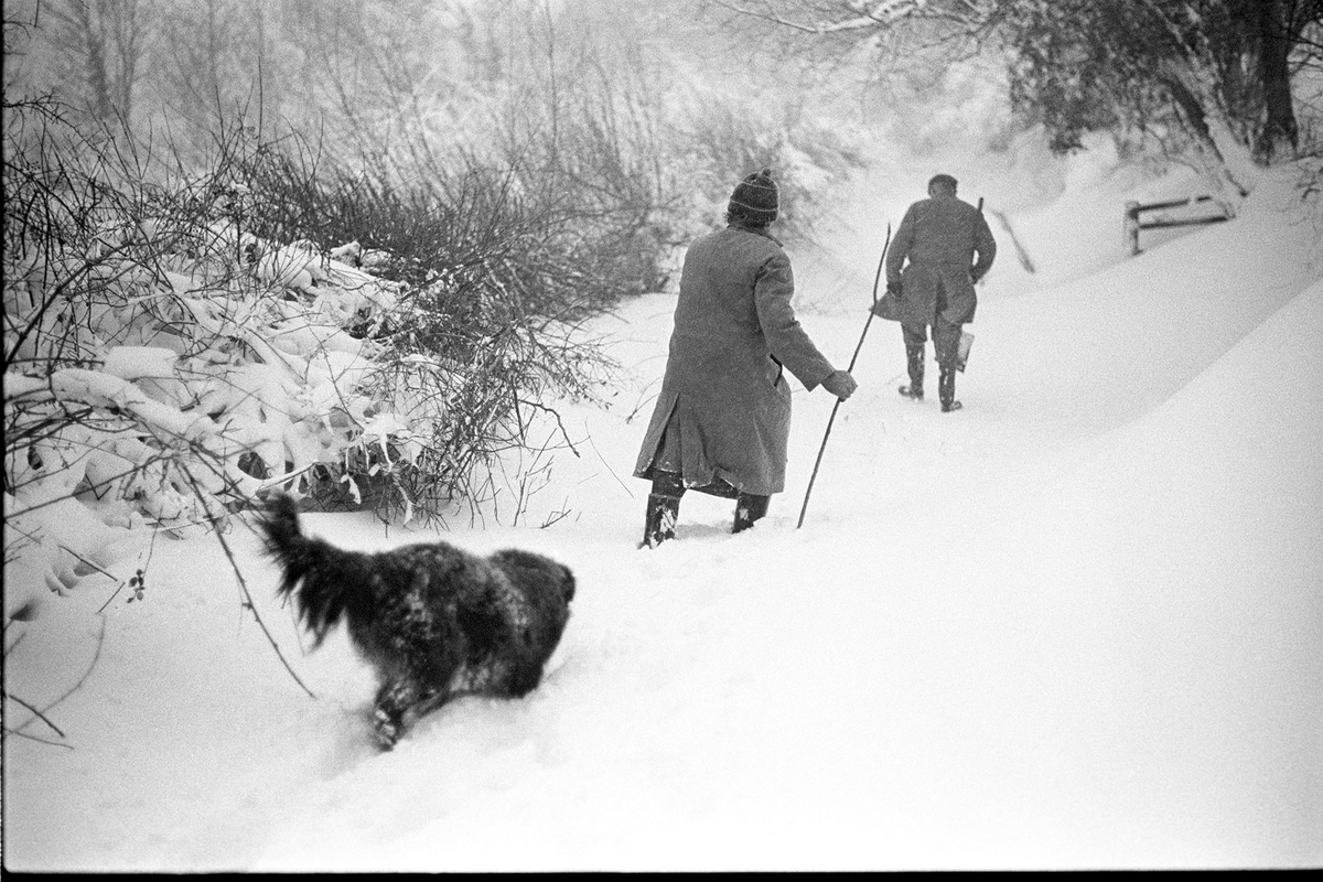 JamesRavilious's tweet photo. Alf Pugsley and Phillip George struggling home after looking for lost sheep. Millhams, Dolton, February 1978. Photograph by my Dad, digitally scanned from a Beaford Archive negative. ©Beaford Arts @beaford #Devon #photography #snow https://t.co/2zdDFBCM1R https://t.co/9yBeeK0EIp