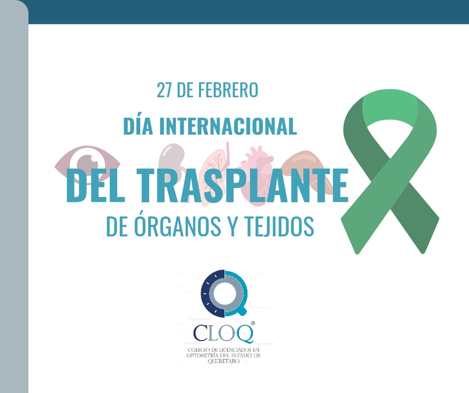 cloqmx's tweet photo. 🩸🫁🦴🫀👁️ DÍA INTERNACIONAL DEL TRASPLANTE DE ÓRGANOS Y TEJIDOS 👁️🫀🦴🫁🩸

 Recuerda que sin donadores no hay trasplantes !!

#CLOQ  #optometria #diainternacionaldetrasplante #donaciondeorganos #donaciondetejidos https://t.co/k3C4vnLPCV