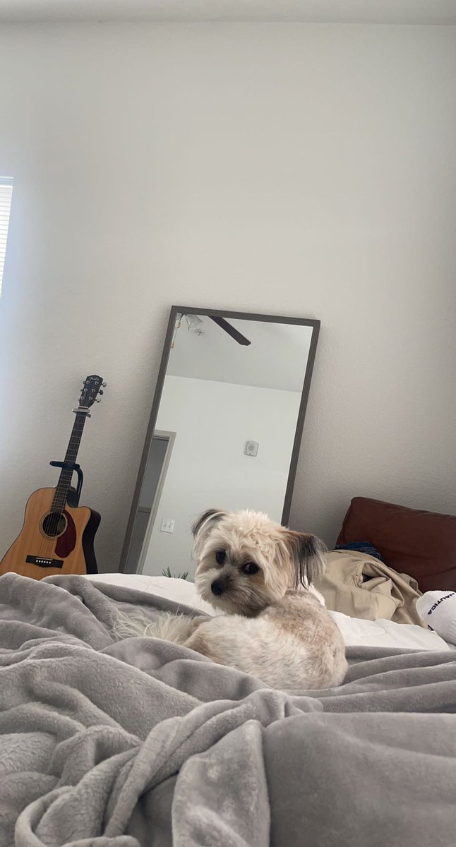 How is it going? Yeah, He judges a lot! Like a lot!!