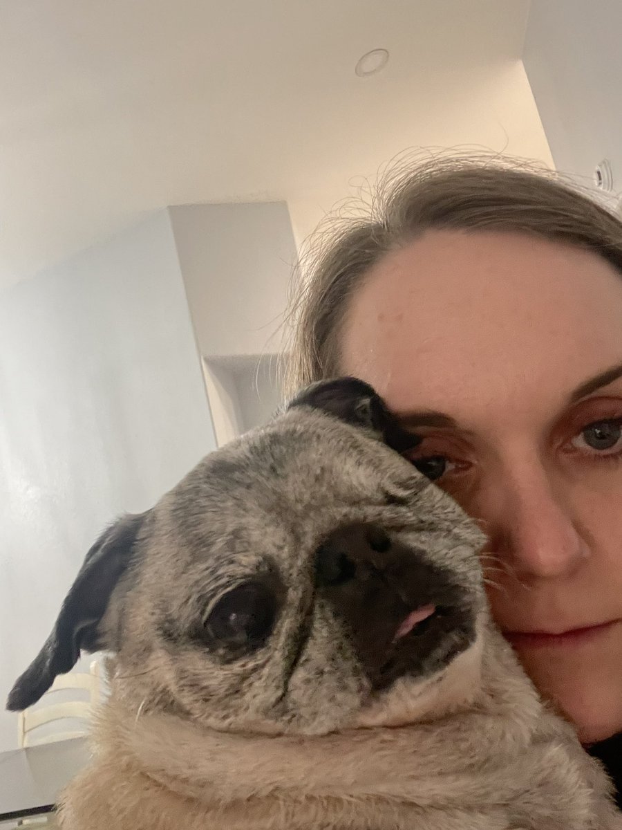 stephandrach69's tweet image. go listen to our new podcast episode in our bio or we’re sending our guard dog for you