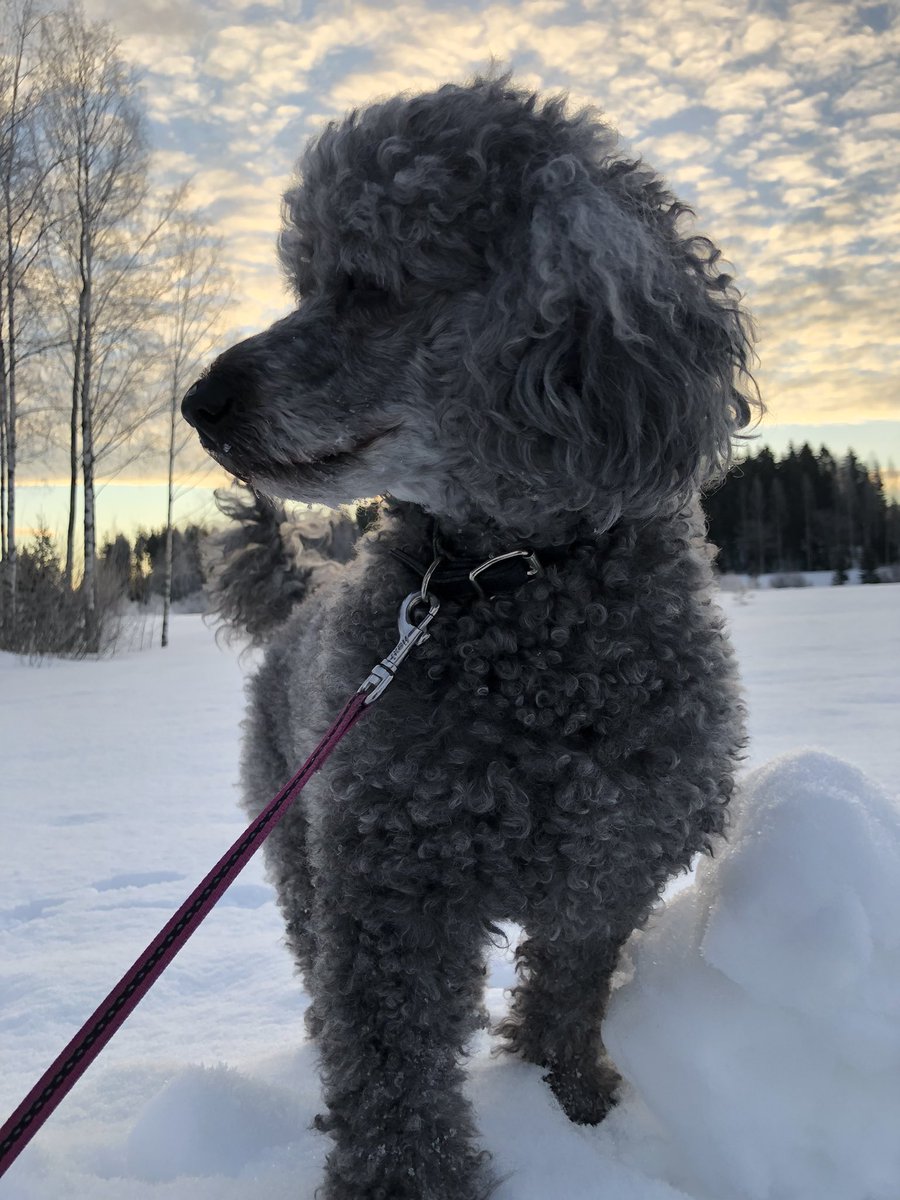 KLaunikari's tweet photo. @marttatervonen https://t.co/bS0fv7YTY8