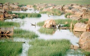 AAbasbs's tweet image. 