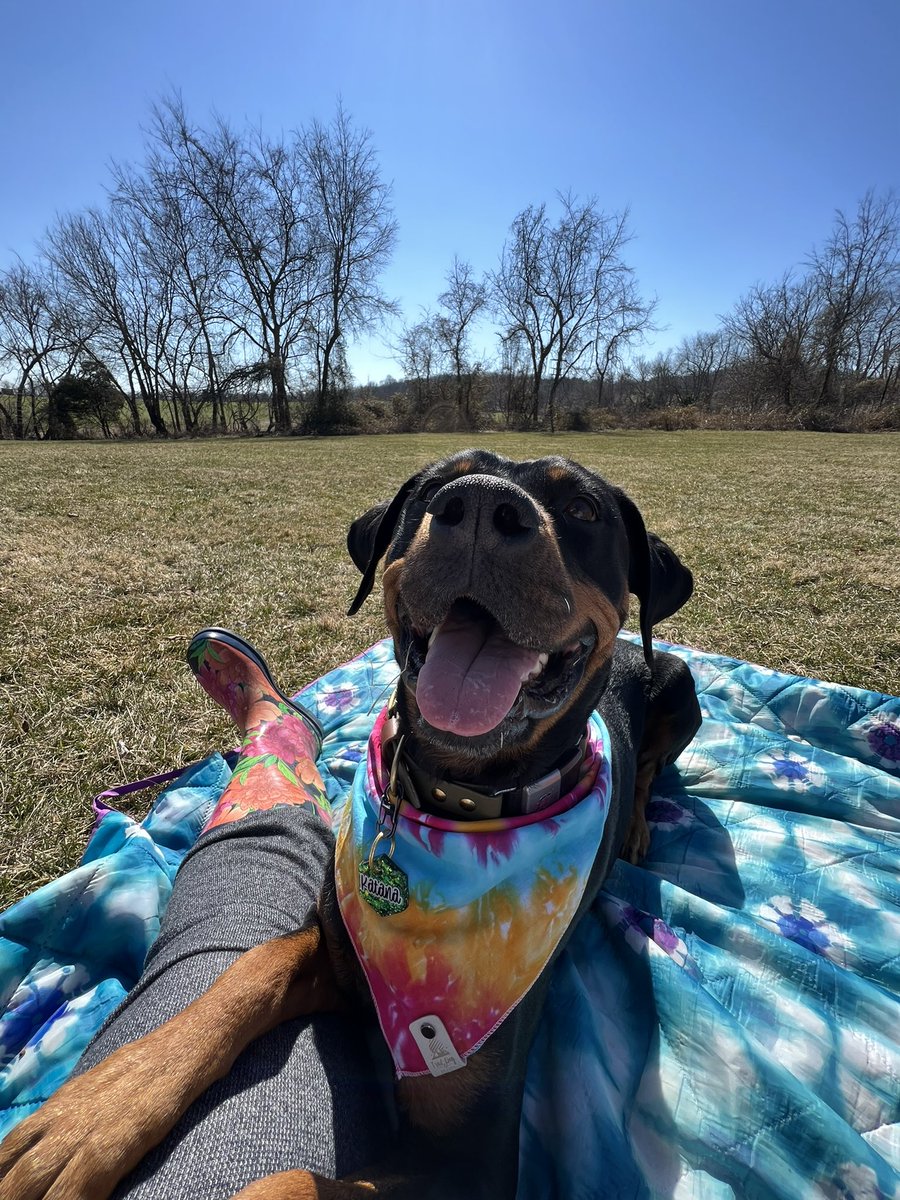 Ruby & Katana tweet media