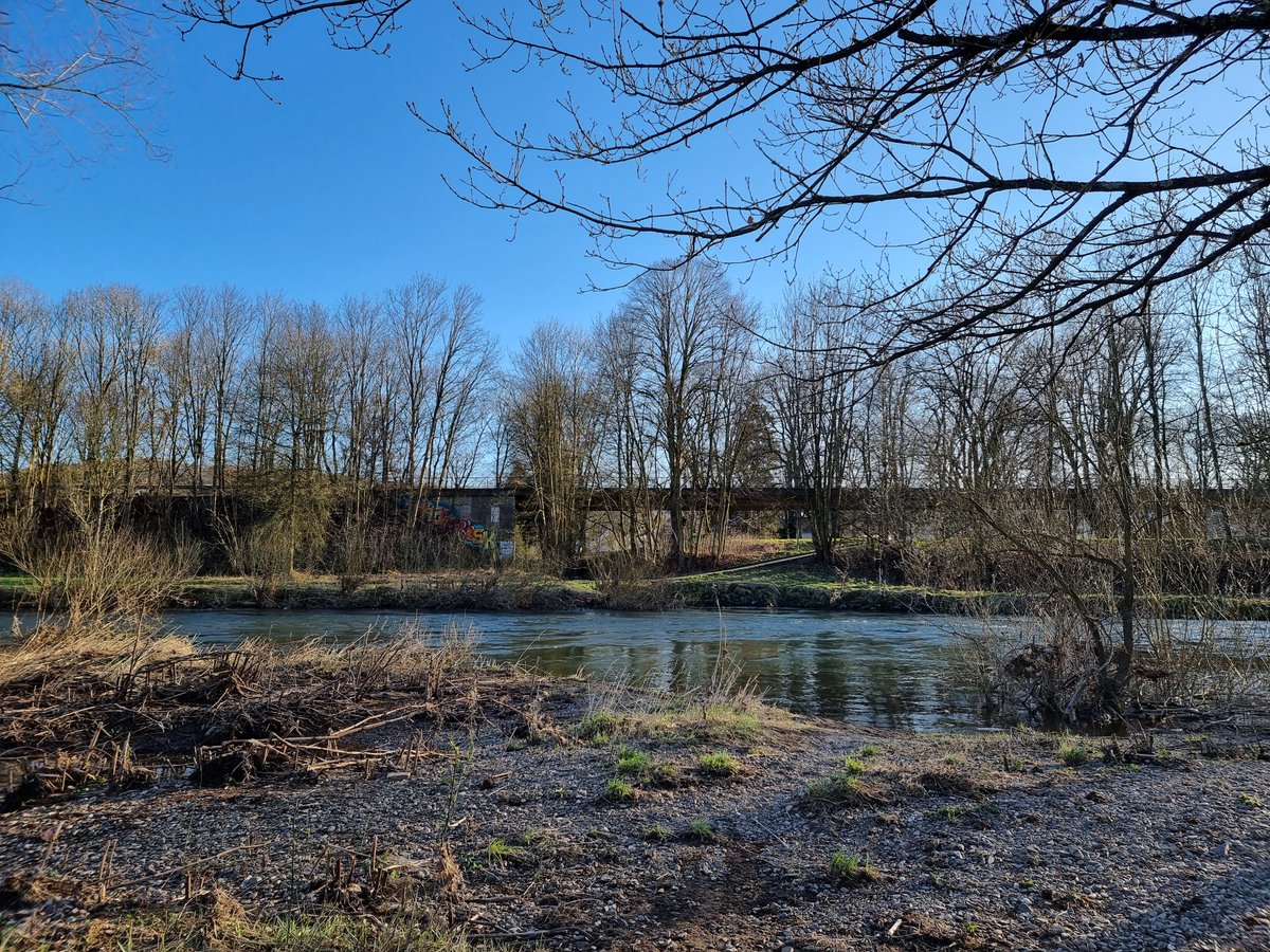 neverjustloyal's tweet photo. @ralphruthe Sonne, strahlend blauer Himmel, Natur. 😍 https://t.co/4lmS4LLFCr